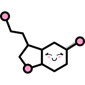 Serotonina hormonul fericirii